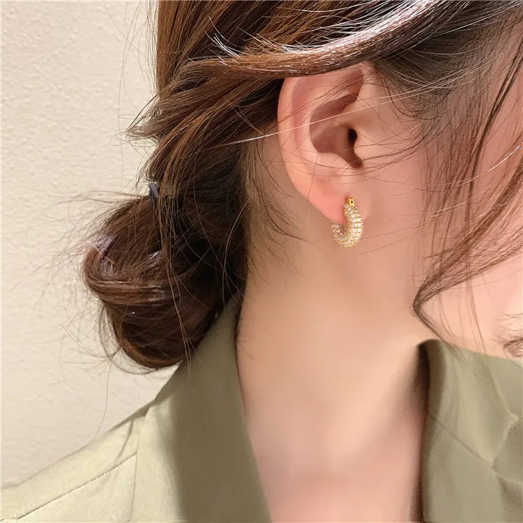 zircon earrings