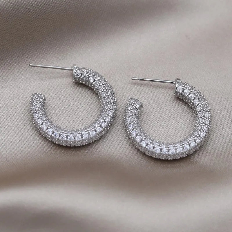 zircon earrings