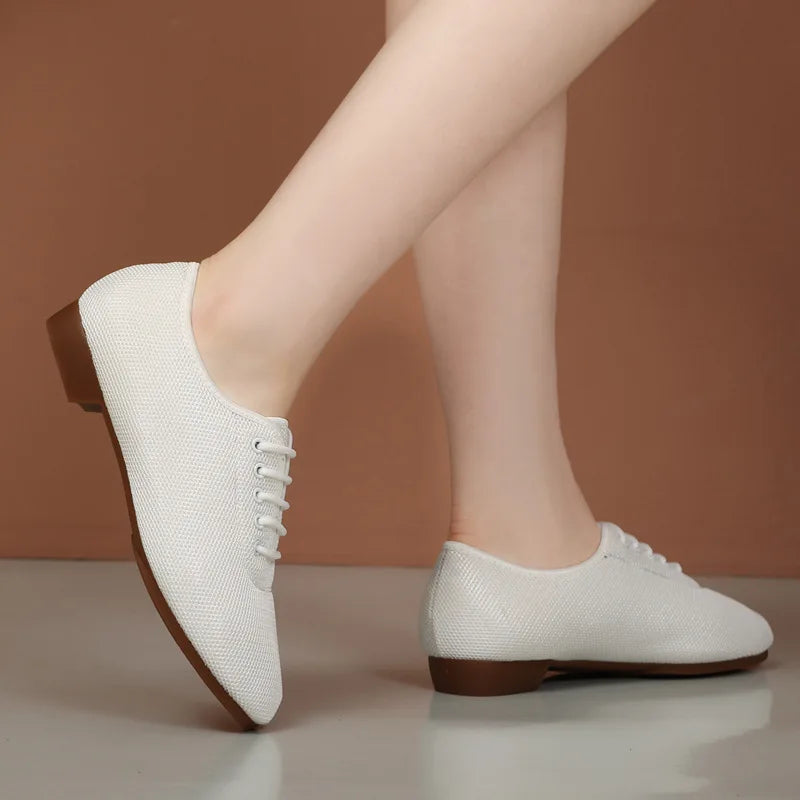 2024 New Modern Dance Shoes Women Ballroom Dancing Soft Rubber Sole Low Heels Jazz Latin Shoes Tango Dance Sneakers